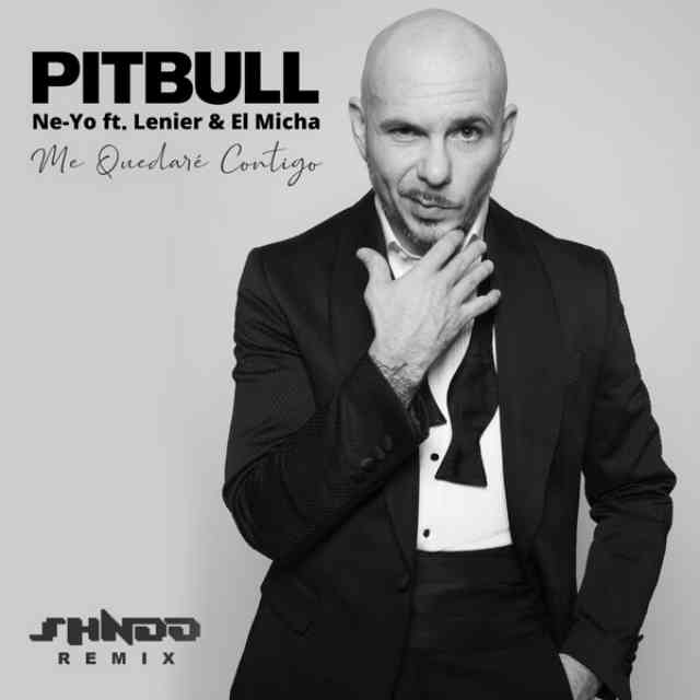 دانلود آهنگ Pitbull & Ne-Yo به نام Me Quedare Contigo (Shndo Remix)