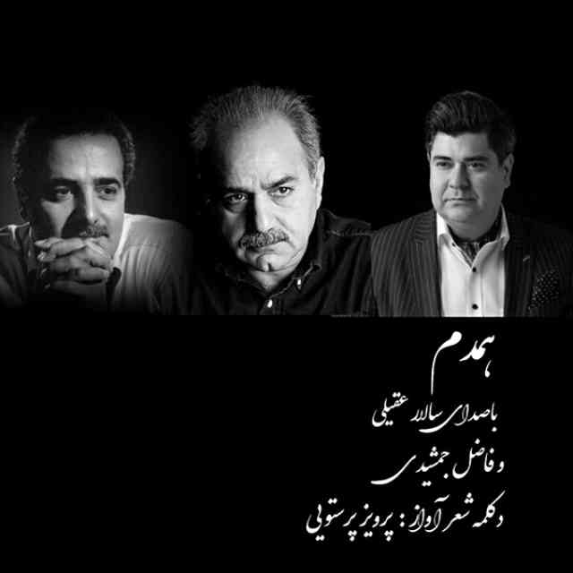 دانلود آهنگ سالار عقیلی به نام همدم