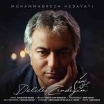 دانلود آهنگ محمدرضا هدایتی به نام دلیل زندگیم - 