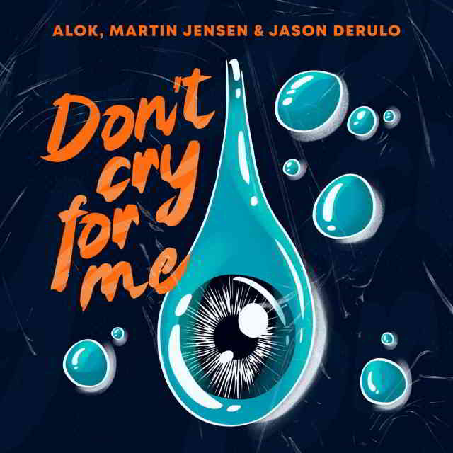 دانلود آهنگ Alok, Martin Jensen & Jason Derulo به نام Don’t Cry For Me