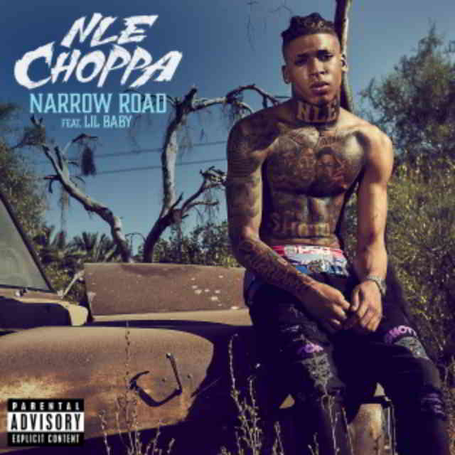 دانلود آهنگ NLE Choppa ft. Lil Baby به نام Narrow Road