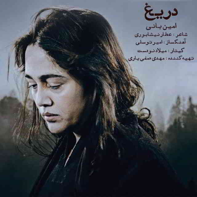 دانلود آهنگ امین بانی به نام دریغ