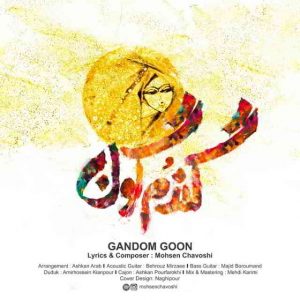 محسن چاوشی