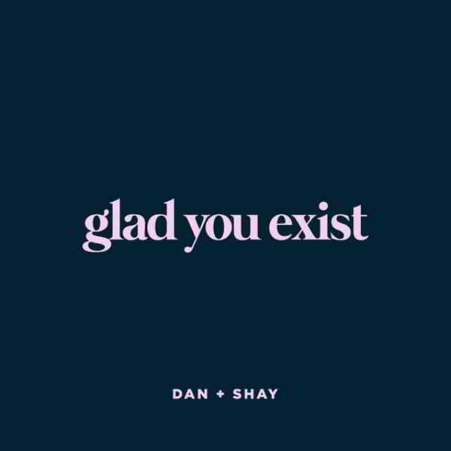 دانلود آهنگ Dan + Shay به نام Glad You Exist