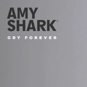 دانلود آهنگ Amy Shark ft. Keith Urban به نام Love Songs Ain’t for Us