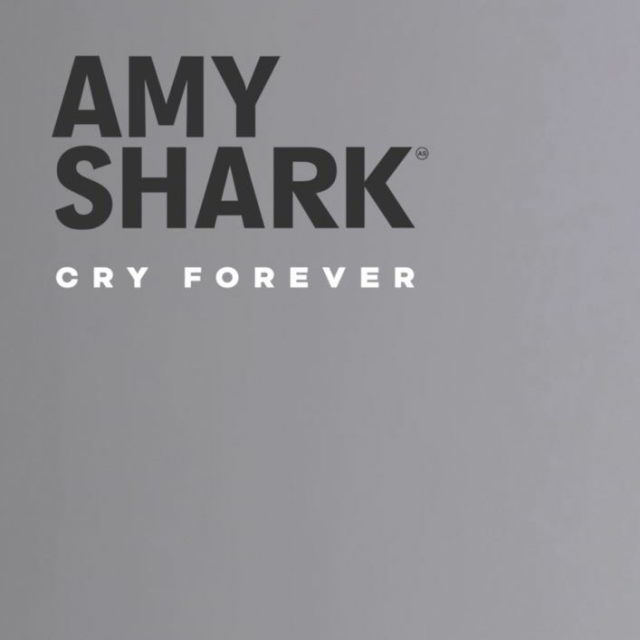 دانلود آهنگ Amy Shark ft. Keith Urban به نام Love Songs Ain’t for Us