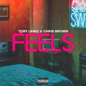 دانلود آهنگ Tory Lanez & Chris Brown به نام F.E.E.L.S.