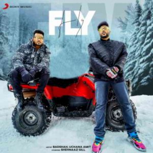 دانلود آهنگ Badshah, Amit Uchana & Shehnaaz Gill به نام Fly