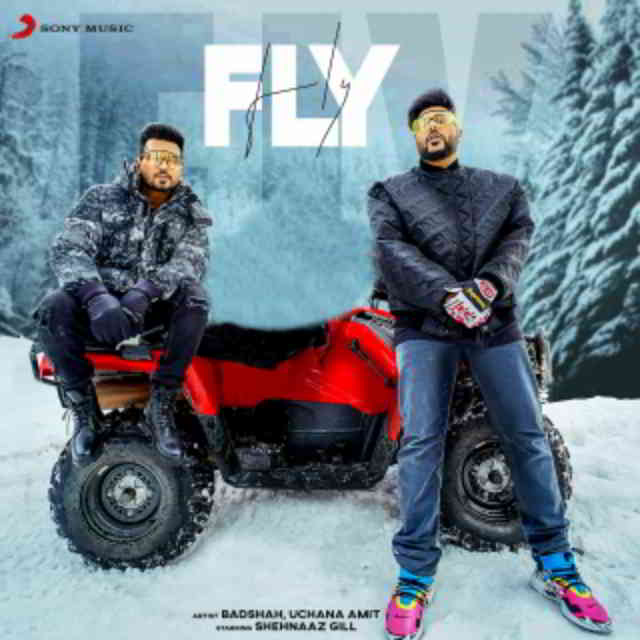 دانلود آهنگ Badshah, Amit Uchana & Shehnaaz Gill به نام Fly
