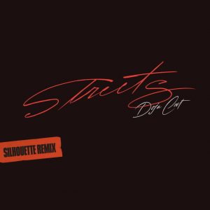دانلود آهنگ Doja Cat به نام Streets (Silhouette Remix)