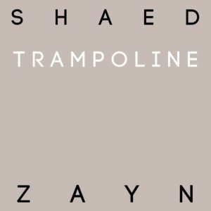 دانلود آهنگ SHAED & ZAYN به نام Trampoline