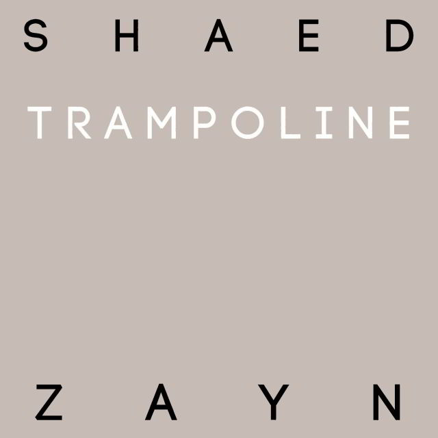 دانلود آهنگ SHAED & ZAYN به نام Trampoline